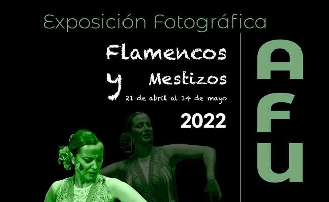 Exposición fotográfica AFU Flamencos Mestizos Úbeda