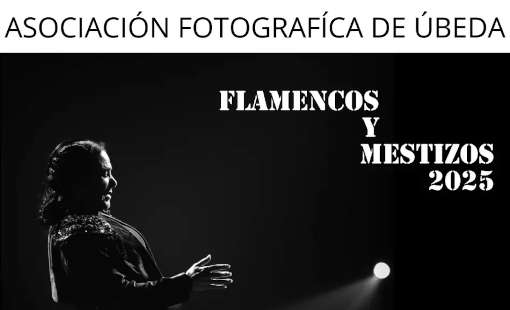 Exposición Fotográfica Flamencos y Mestizos